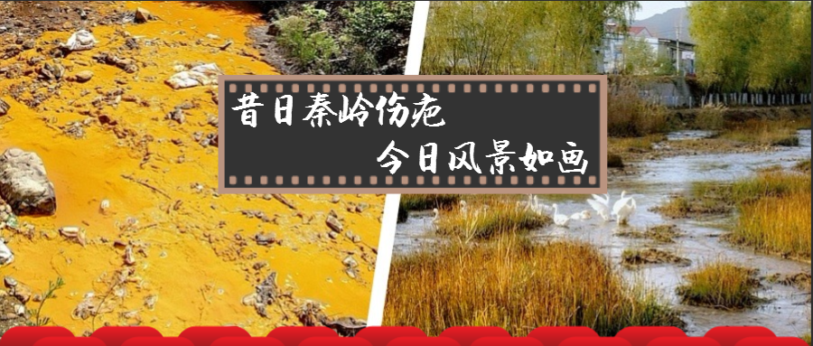 1543038109805541xGfl.png 对比图.png