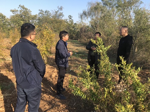 1543280775741489KMzf.jpg 党委.jpg